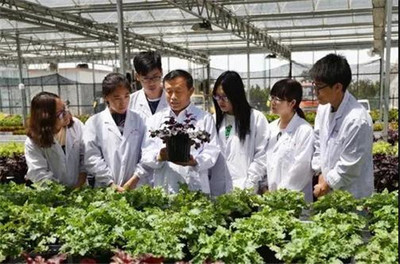 扎根濰坊大地，助力‘三農’發展 濰坊職業學院的農業技術研究實踐