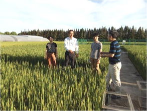 中日低碳農(nóng)業(yè)技術(shù)研討會(huì)在我院生態(tài)所低碳農(nóng)業(yè)中心成功召開