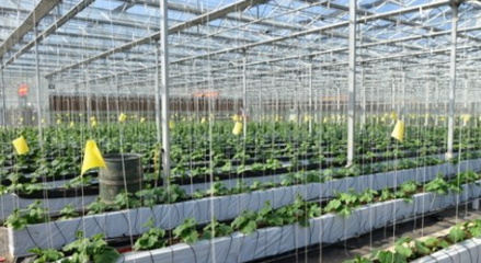 農(nóng)業(yè)技術(shù)研究員評(píng)職稱 論文要求與科研能力的重要性