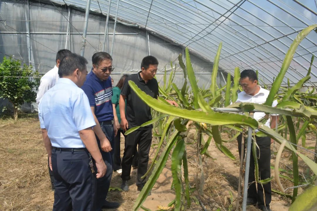 科技賦能巾幗力，助農興農譜新篇——山東濱州市巾幗科技助農興農直通車走進陽信
